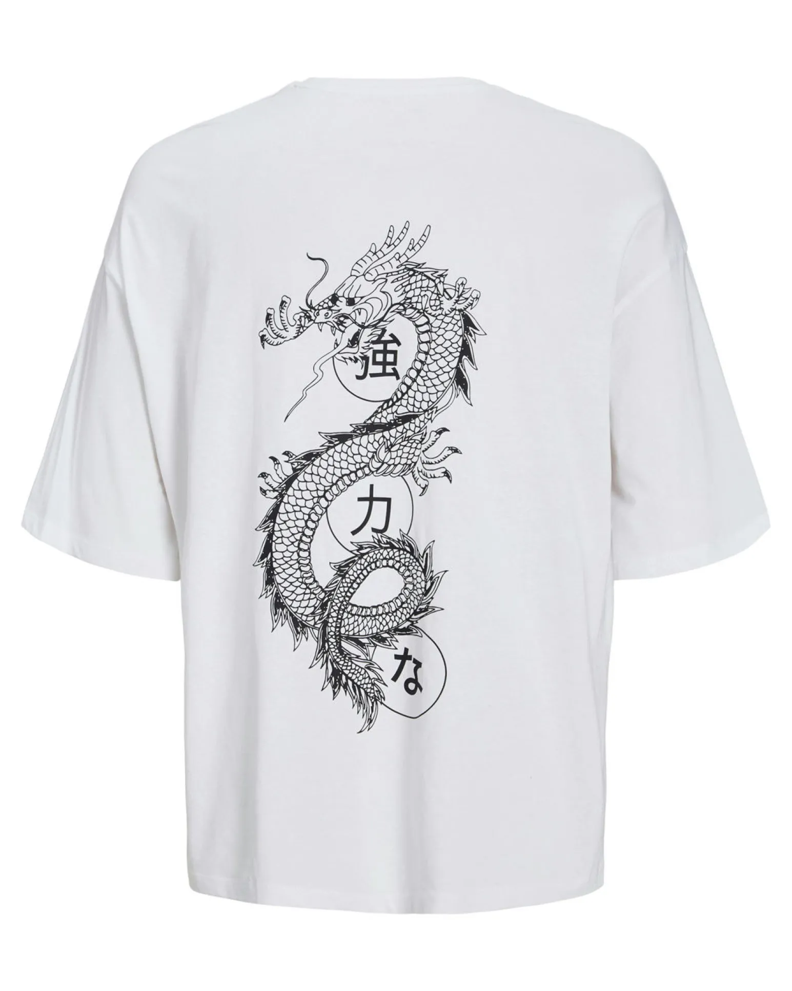 TSHIRT MANICA CORTA DRAGON