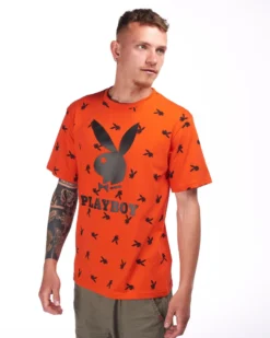 UOMO TSHIRT MEZZA MANICA